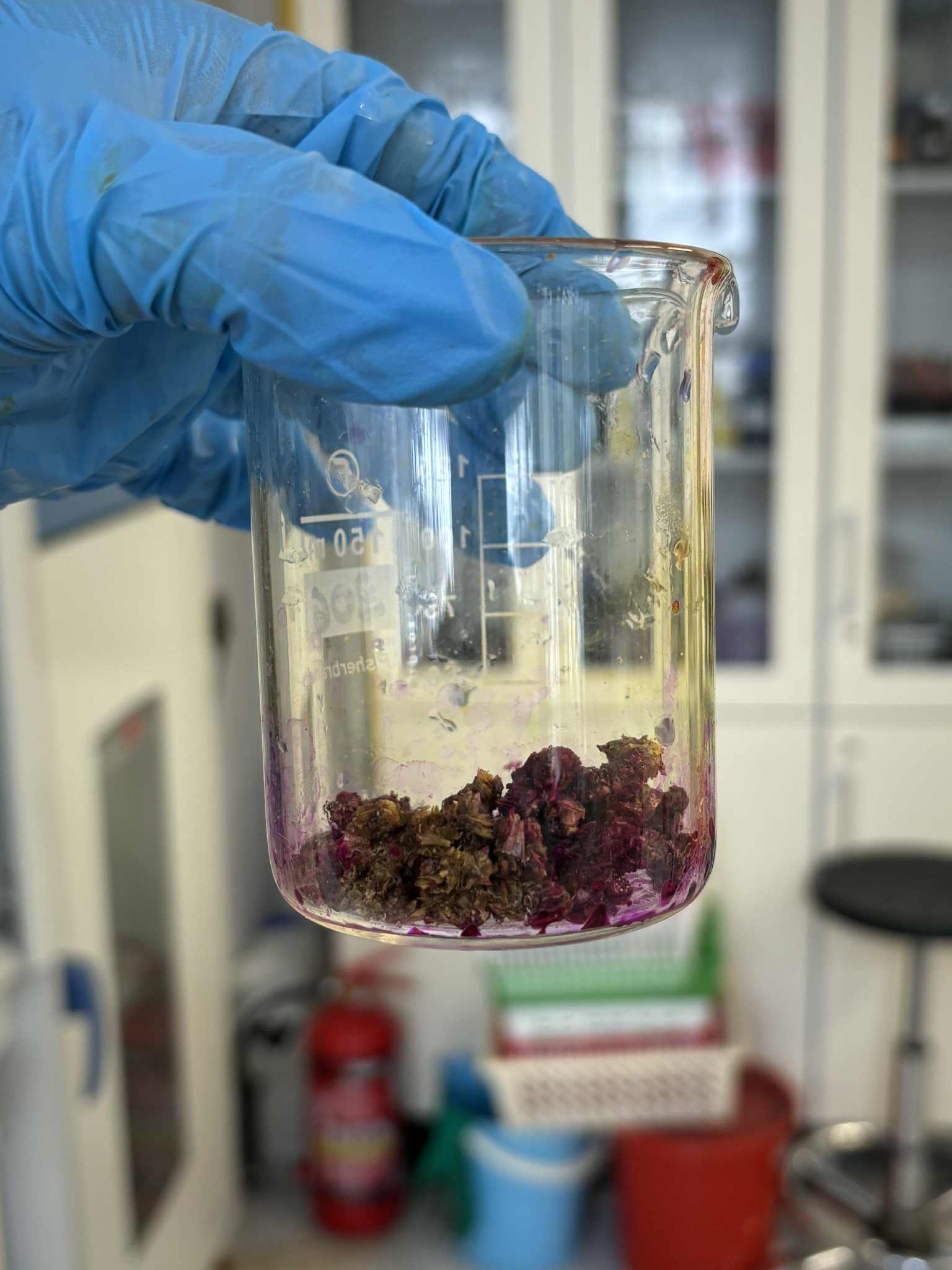 Produkt w laboratorium - barwnik 2