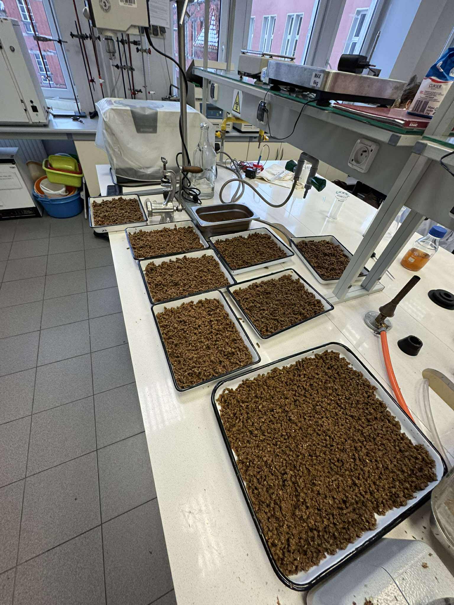 EcoMeow w laboratorium