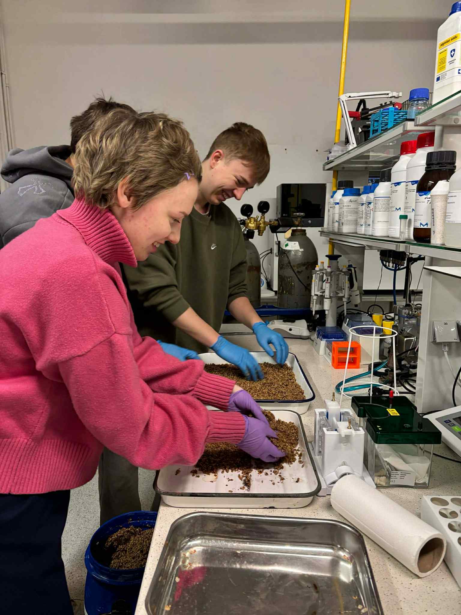 Zespół EcoMeow w laboratorium